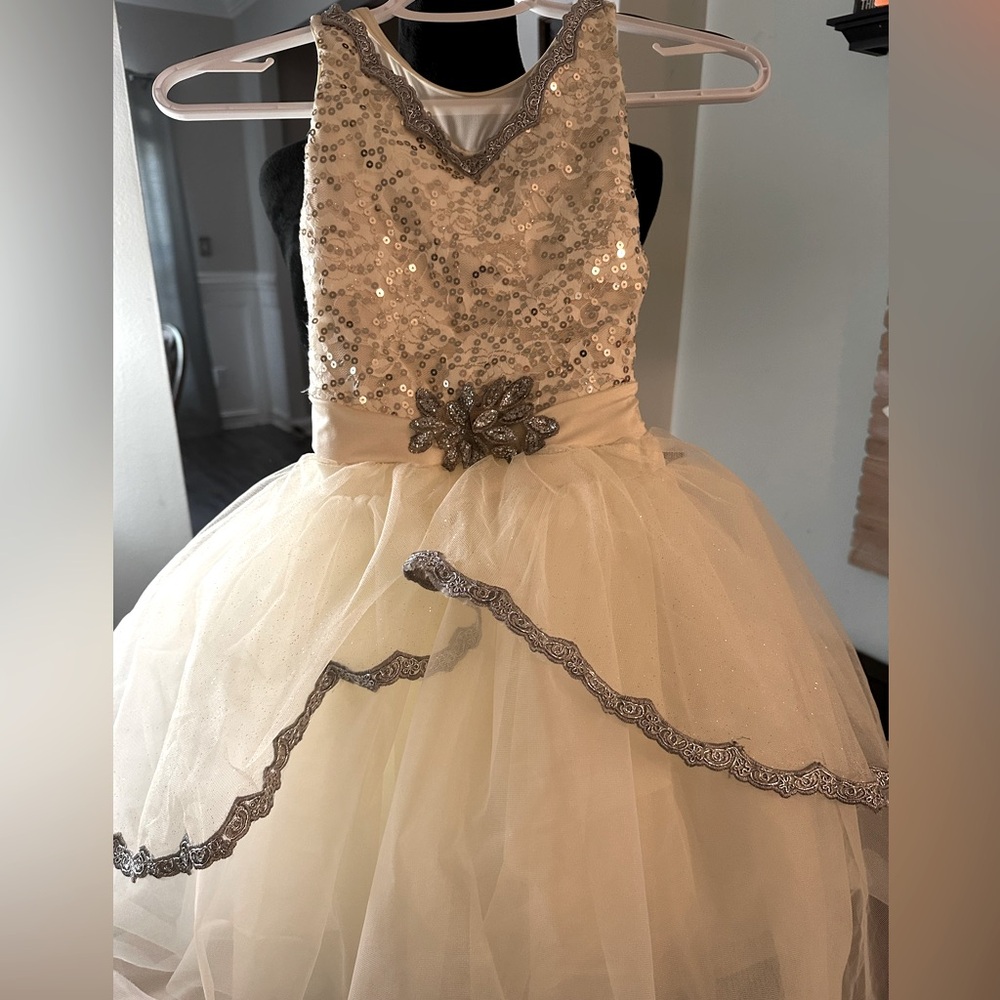 Ballerina white sequins tutu dress.